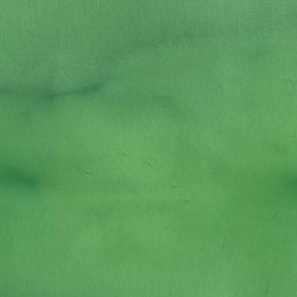 Avocado metallic pigment sample