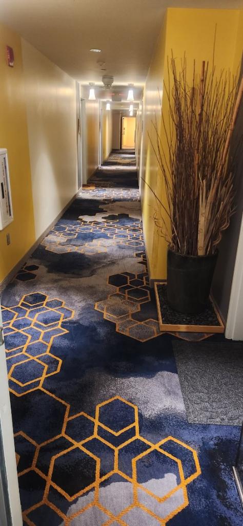 Carpet